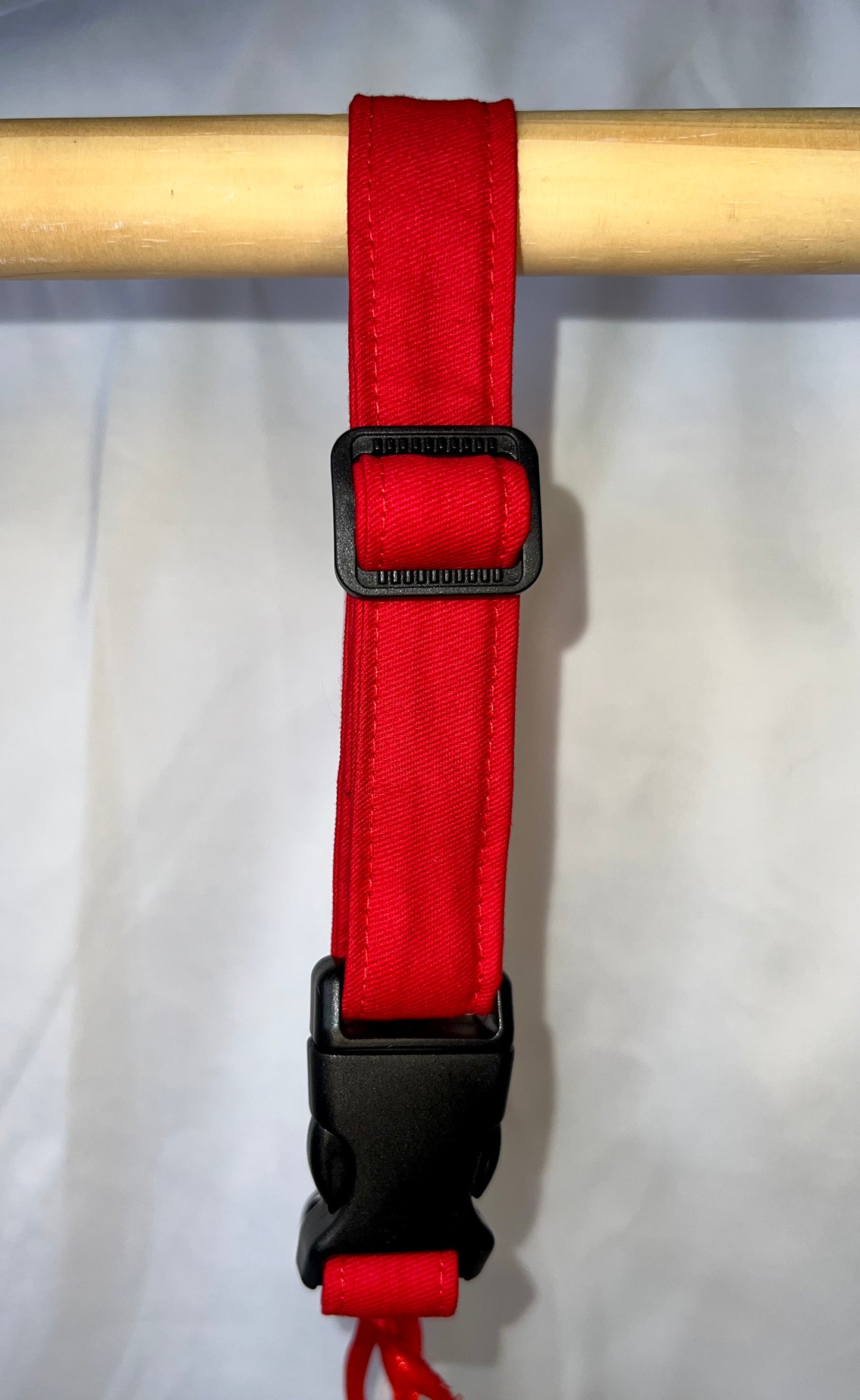 Plain Dog Collar