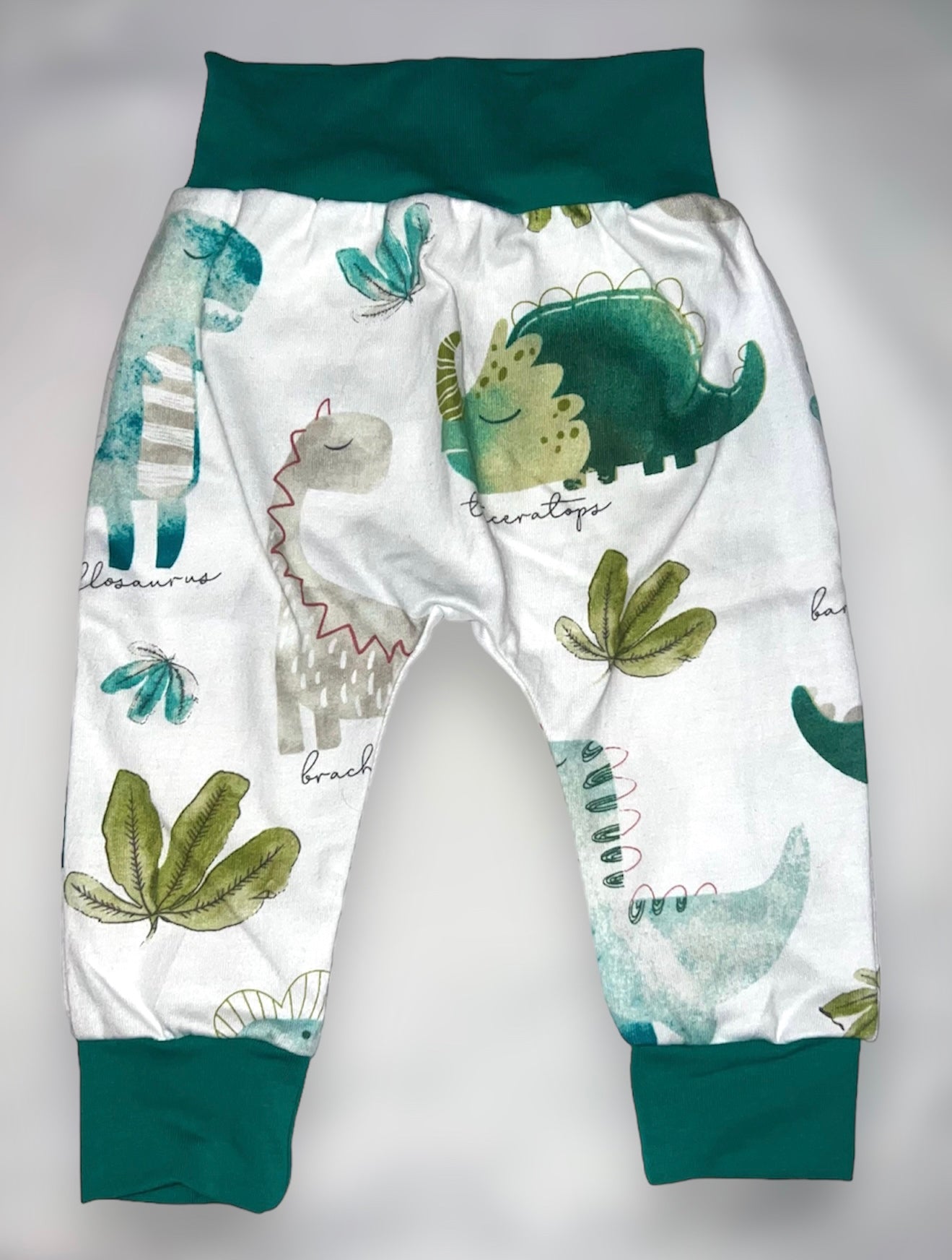 Green Dinosaurs Baby Pants