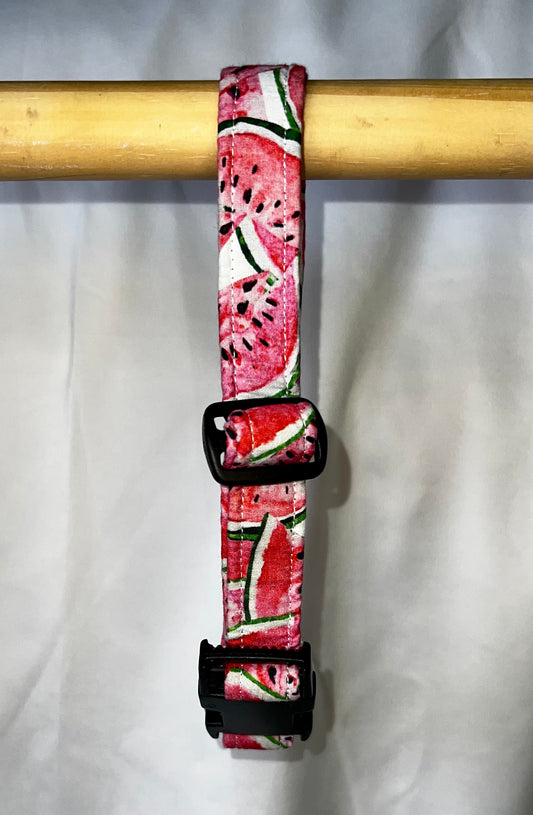 Watermelon Dog Collars