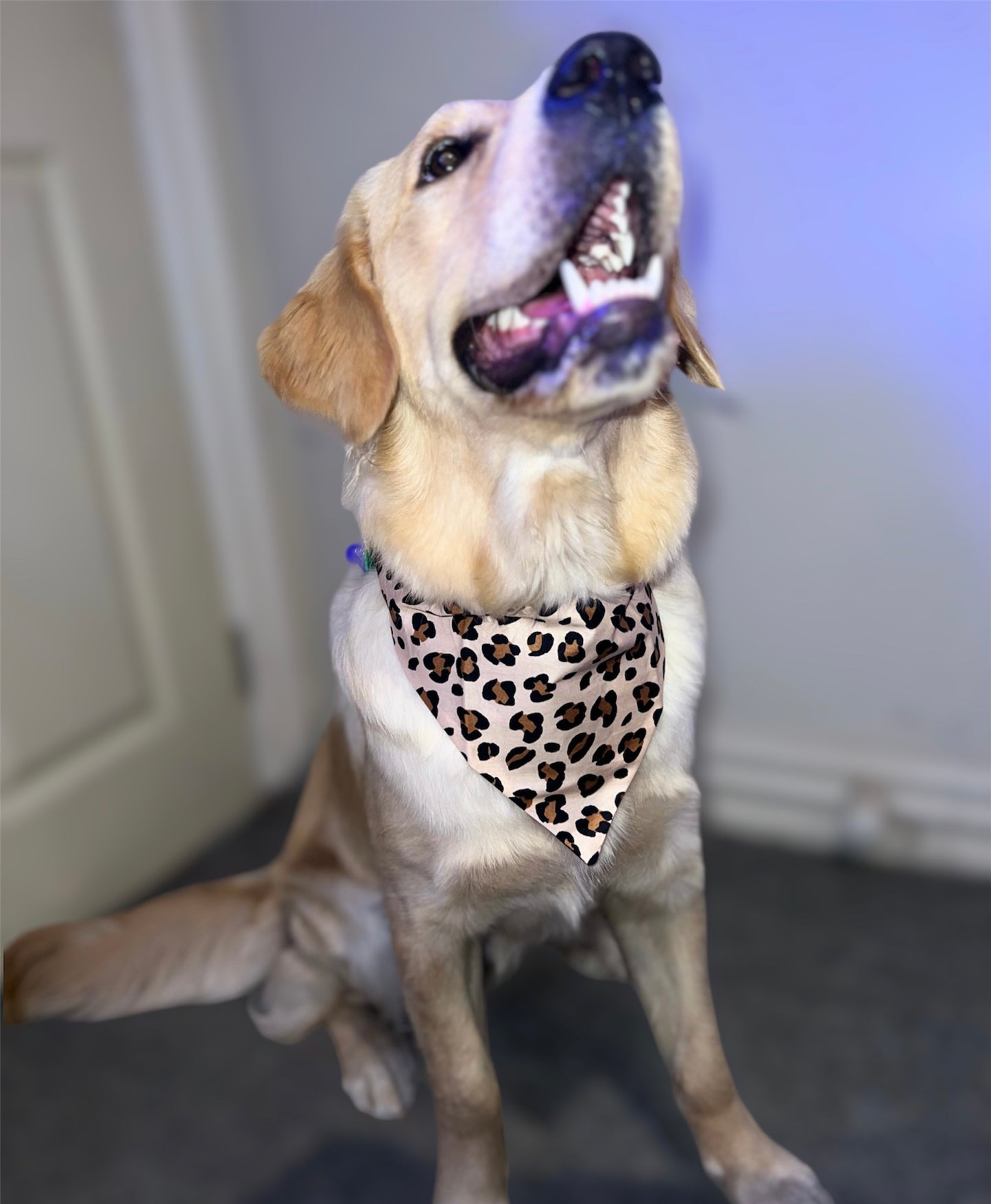 Leopard Print Bandana