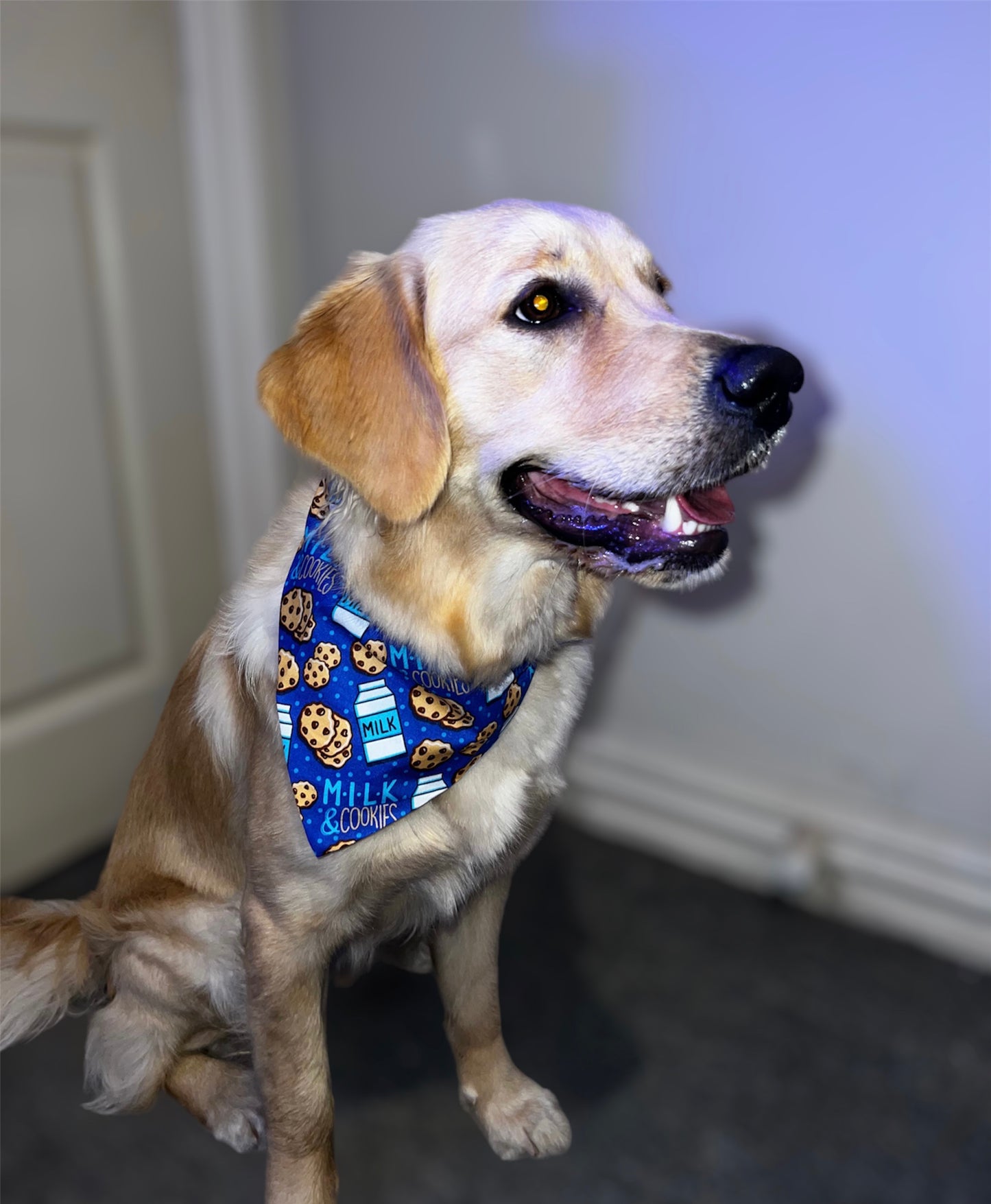 Cookie And Milk Dog Bandana