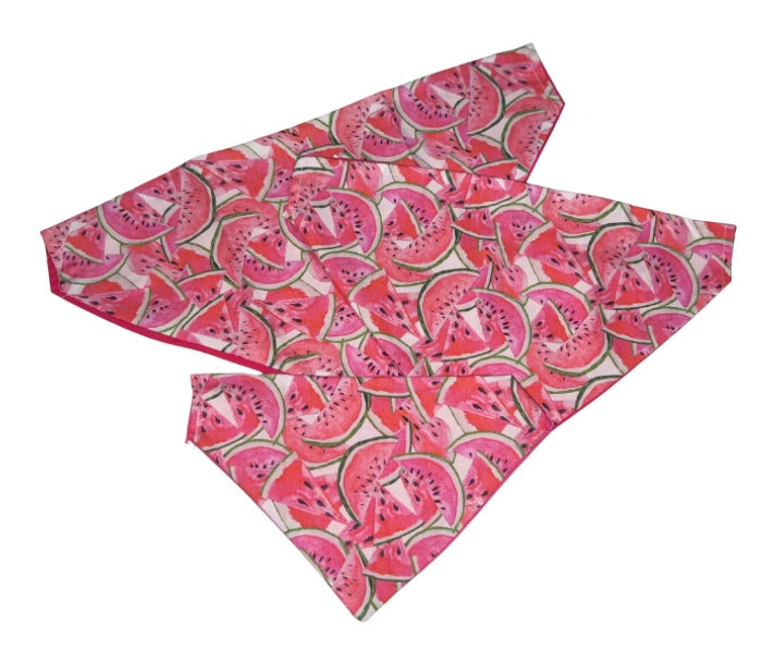 Watermelon Dog Bandana